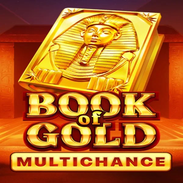 Book of Gold Multichance logo by Playson Rich Palms Casino