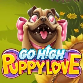 Go High Puppy Love logo by RubyPlay at Rich Palms Casino