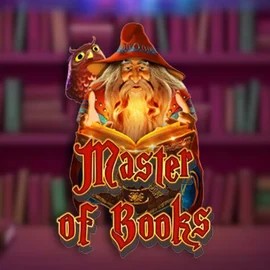 Try Master of Books slot by Swintt on nordicfinanceforum.com – logo image