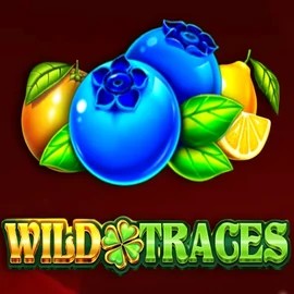 Enjoy Wild Traces by Amusnet Interactive – logo hosted on nordicfinanceforum.com